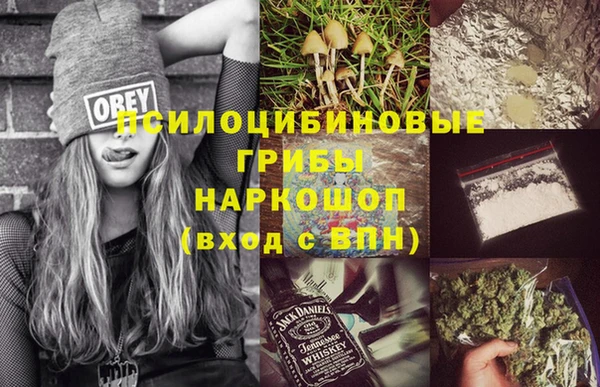 ECSTASY Богородицк