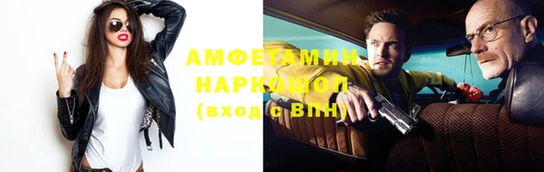 ГАЛЛЮЦИНОГЕННЫЕ ГРИБЫ Богданович