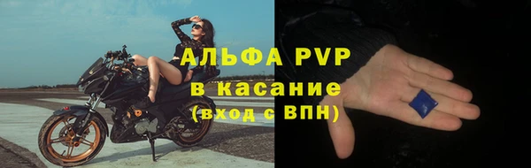 ГАЛЛЮЦИНОГЕННЫЕ ГРИБЫ Богданович