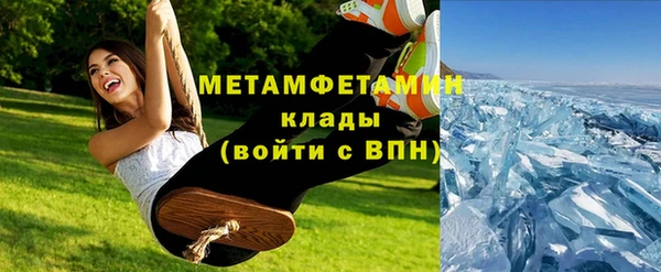 ГАЛЛЮЦИНОГЕННЫЕ ГРИБЫ Богданович