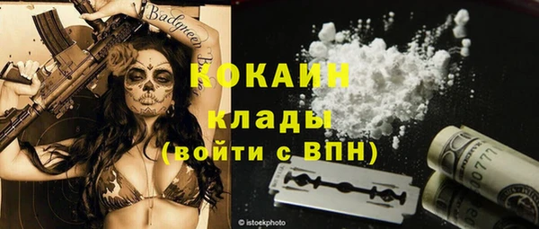 ГАЛЛЮЦИНОГЕННЫЕ ГРИБЫ Богданович