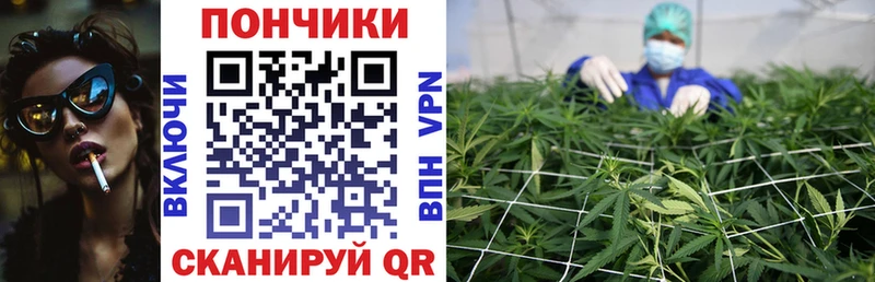 где можно купить   Ульяновск  МАРИХУАНА конопля 
